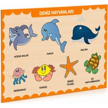 Sora Group 3212 Ahşap Deniz Hayvanları Bul-Tak