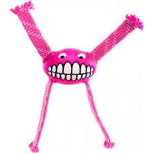 Şanal Rogz Flossy Grinz Sesli Köpek Oyuncak 19 cm Pembe Renkli