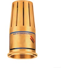 Meschain Meschaın 1" Sarı Klape - KF313