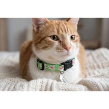 Şanal Tatucha Premium Galaxy Harmony Kedi Boyun Tasması, Yeşil, 11X35 Cm, Özel Koleksiyon