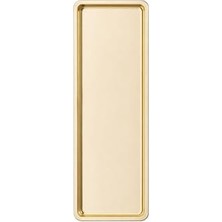 aklow akyoleticaret Gold Dikdörtgen Paslanmaz Çelik Sunum Tepsisi, 33X13 Cm, 1 Adet