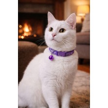 Şanal Kedi Boyun Tasması Zilli ve Ayarlanabilir Mor