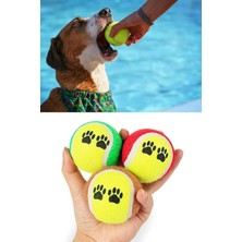 Şanal Jouis Dayanıklı Tenis Topu Köpek Eğitim Oyuncağı 3'lü Set - Eğlenceli Evcil Hayvan Yakalama ve Fırlatma Oyun Topu, Diş Sağlığı Destekleyici Interaktif Köpek Topu