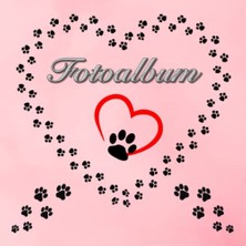 aklow akyoleticaret Evcil Hayvanlar Fotoğraf Albümü: Papağan, Hamster, Kobay, Tavşan, Güvercin, Fare ve Köpekler, Andenken Rosa 03 (Almanca Baskı)