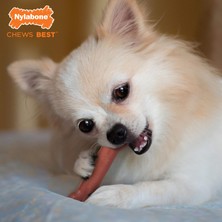 aklow akyoleticaret Xs Domuz Pastırması Aromalı Köpek Çiğneme Kemiği