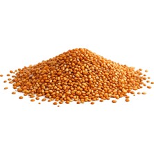 aklow akyoleticaret Kızıl Dal Darı Tanesi 500 G