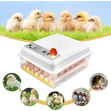 aklow akyoleticaret Yumurta Brooder, 36 Yumurta Otomatik Turner Sıcaklık Kontrolü Yumurta Yetiştiricisi Kuluçka Türkiye Ördek Kaz Bıldırcın Tavuk Yumurtası