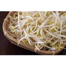 aklow akyoleticaret De&co Fasülye Filizi 400 G