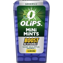 aklow akyoleticaret Mini Mints Nane & Ginseng Aromalı Şekersiz Şeker 12.5g