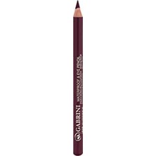 Şanal Gabrini Lip ve Eye Pencil 10