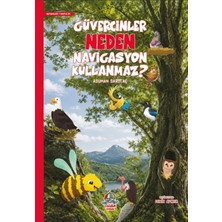 Yağmur Çocuk Güvercinler Neden Navigasyon Kullanmaz?