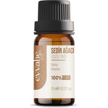 Şanal Sedir Ağacı Yağı (10 Ml)