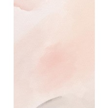 aklow akyoleticaret Pastel Pink Journal Günlük Defter