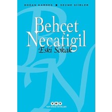 aklow akyoleticaret Seçme Şiirler, Eski Sokak