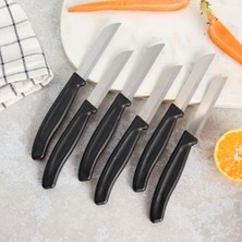 aklow akyoleticaret Dişli Meyve Bıçak Seti, Siyah, 6 Parça, Paslanmaz Çelik, Ergonomik Kopolimer Plastik Sap, 9 cm