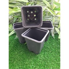 MSP Saksı 30 Adet 8X8X9 cm Vakum Saksı Ucuz Saksı Üretim Saksısı Fide Saksısı Siyah Saksı