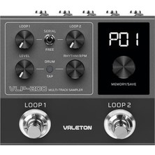 MSP VLP-200 Multi Tracksampler