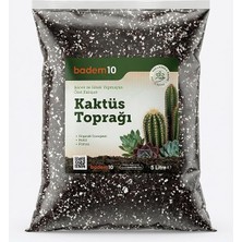 MSP Cocopeat Perlit Pomza Karışımlı Kaktüs ve Sukulent Toprağı 5 Litre