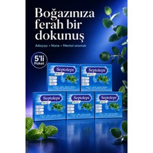 Septoleps Adaçayı-Nane-Mentol Aromalı 24 Pastil-5 Paket -Takviye Edici Gıda