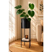 MSP Siyah Metal Ayaklı Saksı, Silindirik, Modern Tasarım, 80X25 cm No:13