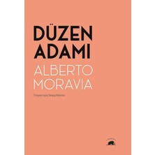 SBN - Store Düzen Adamı