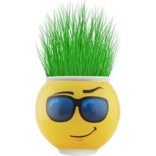 MSP Adam Saksı Emoji Figürlü 1 Adet