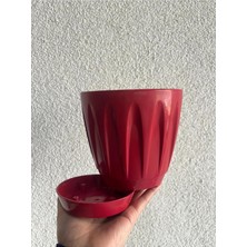 MSP Saksı, 1,5 Lt, Kırmızı, Plastik Çiçek Saksısı Tabaklı