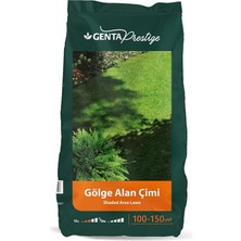 MSP Prestige Gölge Alan Çim Tohumu 5 kg