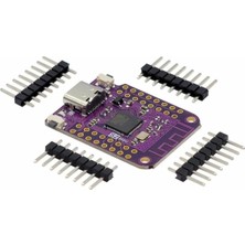 MSP Mini Wifi Geliştirme Kartı, Type-C