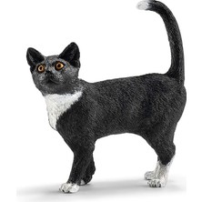 MSP World-Ayakta Kedi