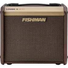 MSP Loudbox Micro 40 Watt 1 x 5.25 Inç Akustik Combo Amp