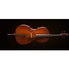 MSP CE160F44