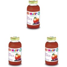 aklow akyoleticaret Organik Kırmızı Meyveli Elma Suyu 200 ml 3'lü Paket
