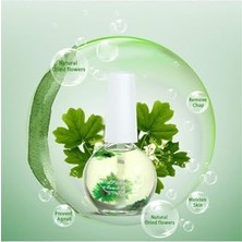 aklow akyoleticaret Tırnak Besleyici ve Bakım Yağı 06 (47466) 3083