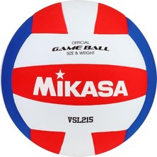 MSP Competitive Class Volleyball