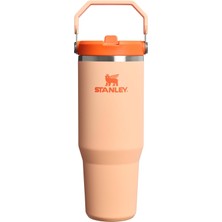 MSP Iceflow Flip Straw Tumbler Pipetli Termos Su Şişesi 0.89 Litre - Orange Sherbet | Paslanmaz Çelik