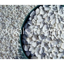 MSP Dolomit Taş 2 kg 2-4 cm Dere Taşı Çakıl Taşı Saksı Taşı Akvaryum Teraryum Taşı Bahçe Taşı