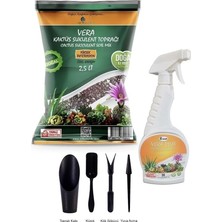 MSP Botanik Kaktüs Sukulent 3 Lü Dikim Seti - Dikim Seti (4 Parça) - Toprak (2,5 Lt) - Besin (500 Ml)