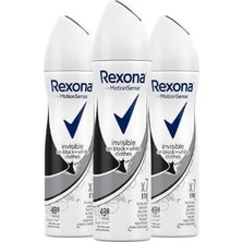 MSP Kadın Deodorant Sprey Invisible On Black White Clothes 150 ml X3 Adet