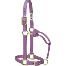 MSP Deri Orijinal Ayarlanabilir 3/4 Inç Çeneye Fuetterset ve Boyun Snap Yarım 1" Large Horse