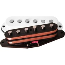 MSP Gcs Stk-N