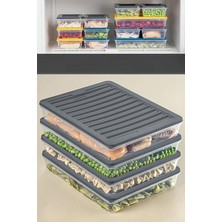 MSP Home 4 Adet Buzdolabı Organizeri, Buzdolabı Için Çok Amaçlı Saklama Kabı, Fresh Box, Şeffaf ve Ayarlanabilir, Gıdaları Taze Tutma Özelliği, Mutfak Düzenleyici (2400 Ml)
