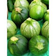 MSP Garden Doğal Topak Kara Kabak Tohumu Karatopak 20 Ad. Tohum