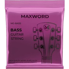MSP Gt-Bass Kaliteli Bas Gitar Teli 1 Takım Set