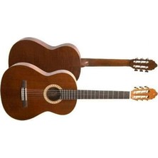 MSP Cgltd2