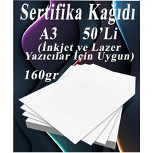 MSP Sertifika Kağıdı Kalın 50 Adet Gramajlı Fotokopi Kağıdı 160 gr Tüm Yazıcılara Uyumlu 29.7X42 cm Kalın Baskı Kağıdı