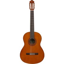 MSP C40 Klasik Gitar