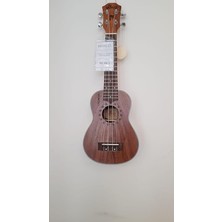 MSP AU50L-21