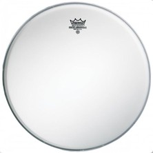 MSP Ambassador BA-0112-00 12 Inch