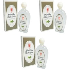 MSP Yeşil Çay Kolonyası 200 ml Cam Şişe x 3